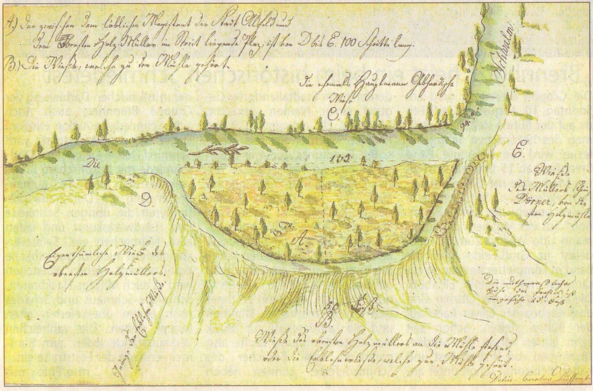 Die „Alsfelder Erlen“ — Ein Unwetter schuf 1749 die Grundlage für einen ...